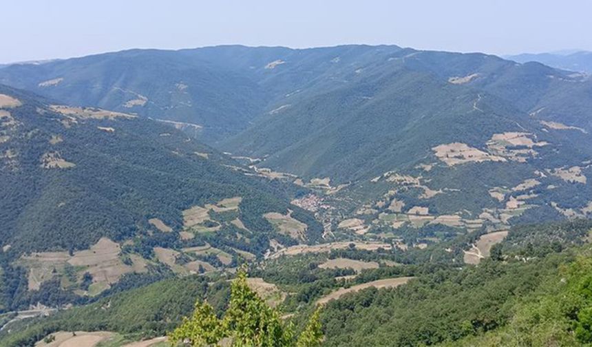 Bafra Doğa Rotaları: Tarım, Kuş ve Gölet Güzergahları