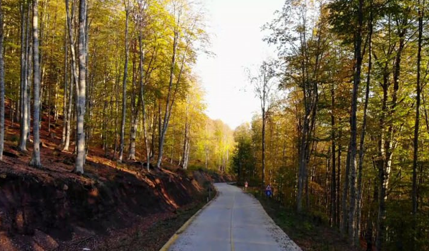 Samsun’da Sonbaharda Renk Cümbüşü Sunan 7 Yer