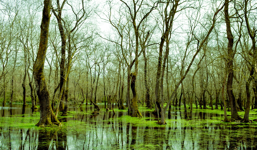 Samsun’da Ücretsiz Gezilebilecek 10 Yer