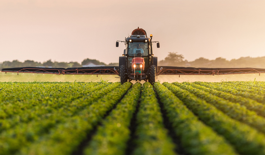 Samsun’un İhracat Yapan Markaları ve Başarı Öyküleri