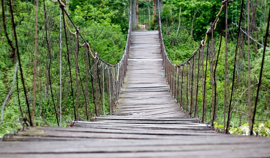 Samsun’da Çocuklarla Doğa: Ücretsiz 1 Günlük Eğitimli Rota