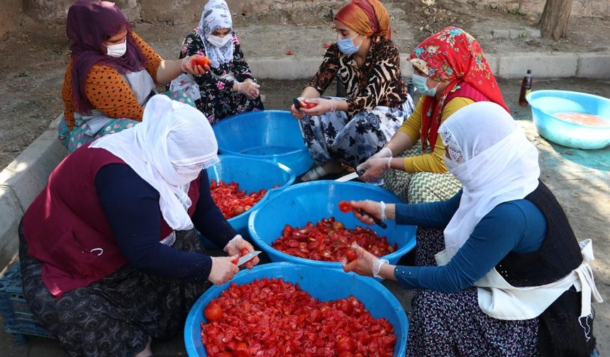 Samsun’da Kış Hazırlıkları: Şehir Halkının Doğayla Kurduğu İlişki