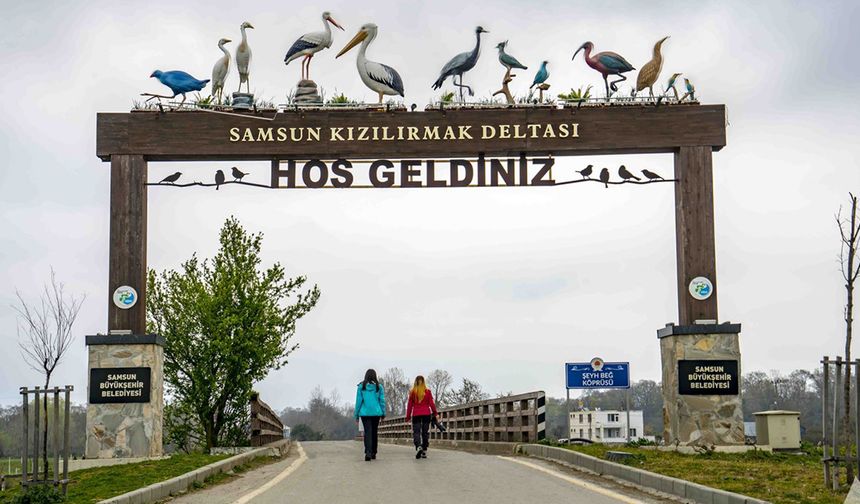 Doğada Güvenli Yürüyüş İçin Samsun AFAD Uyarıları ve Rehberlik