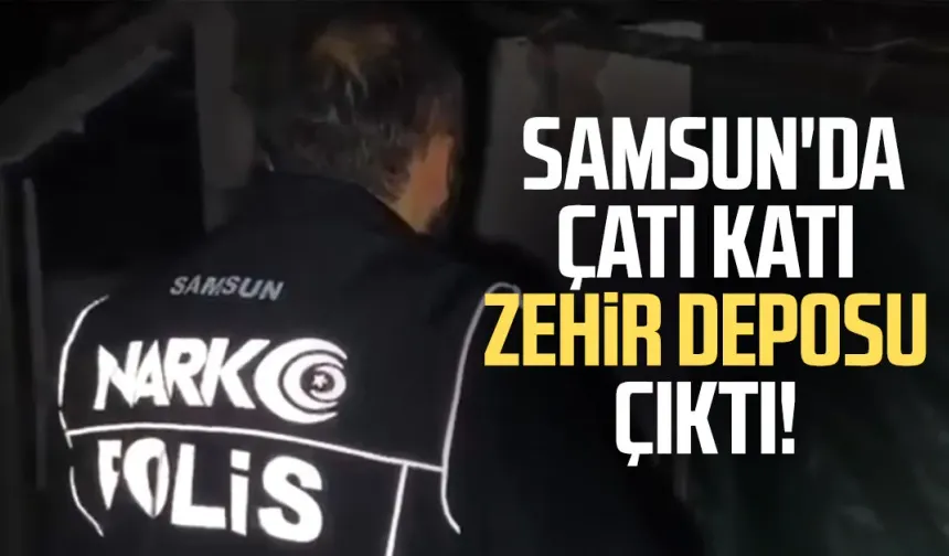Samsun'da çatı katı zehir deposu çıktı!