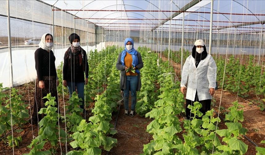 Samsun’da Kadınların Katıldığı Sosyal Aktiviteler: Kooperatif, Üretim, Doğa
