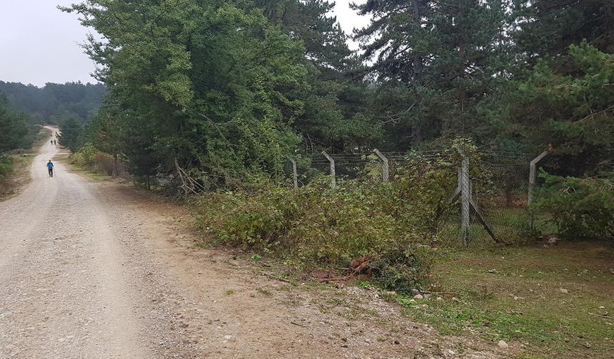 Vezirköprü Ormanları’nda Bisikletle Keşif Rotaları
