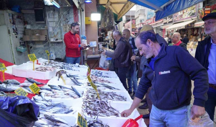 Tezgahlarda hamsi bolluğu