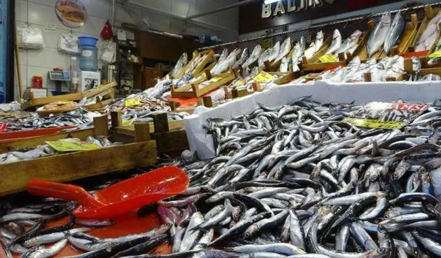 Samsun’da Balık Kültürü: Hangi Mevsimde Ne Yenir?