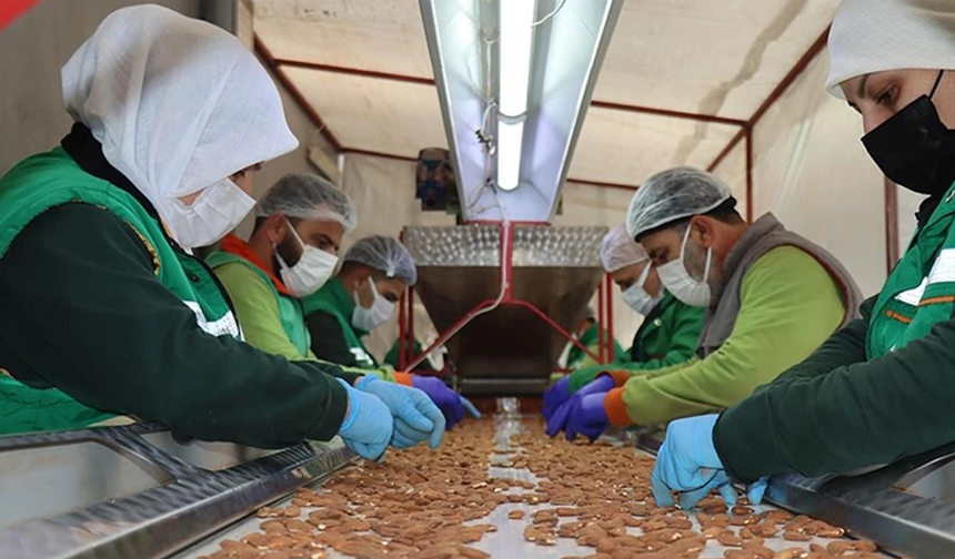 Samsun’da Gönüllülük, Kooperatifler ve Yerel Girişimler