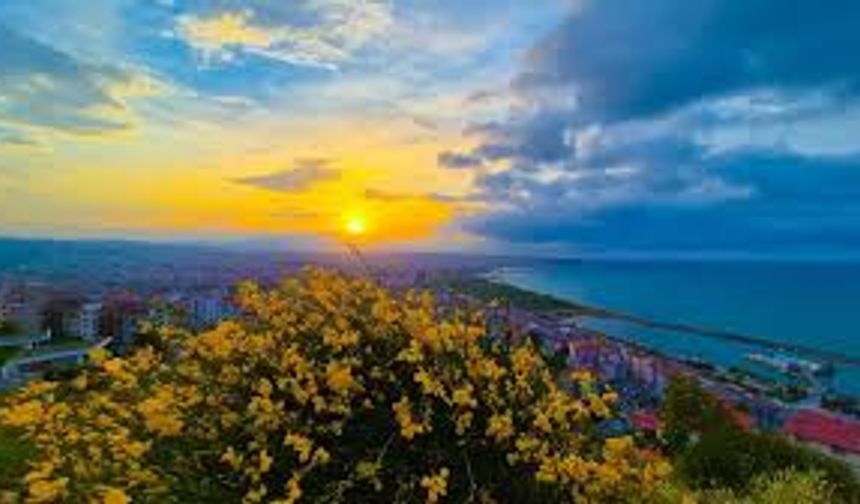 Samsun’da Doğayla İç İçe Yaşam: Şehirden Uzaklaşmadan Huzur