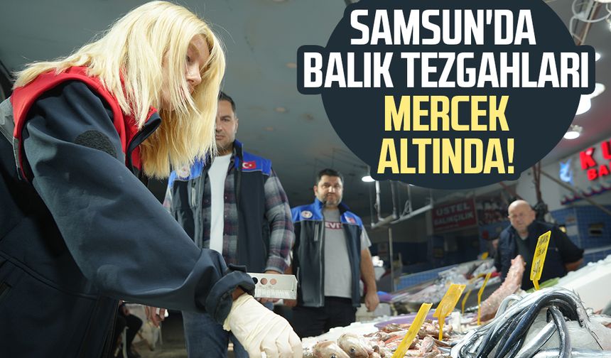 Samsun'da balık tezgahları mercek altında: Ceza yağdı