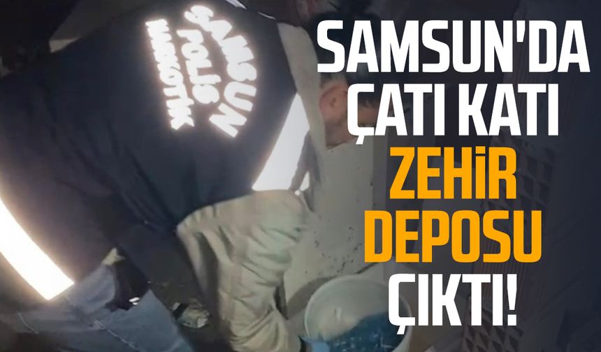 Samsun'da operasyon: Çatı katı zehir deposu çıktı!