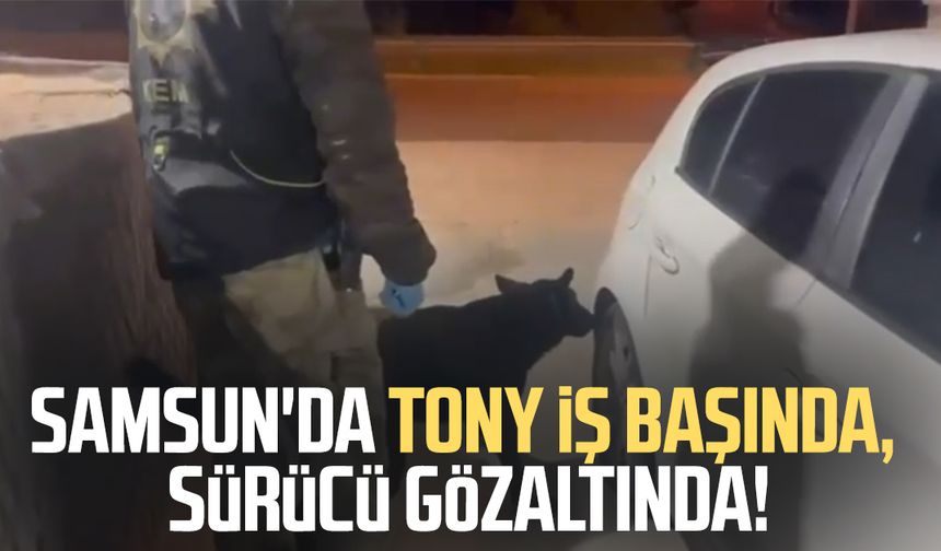 Samsun'da Tony iş başında, sürücü gözaltında!