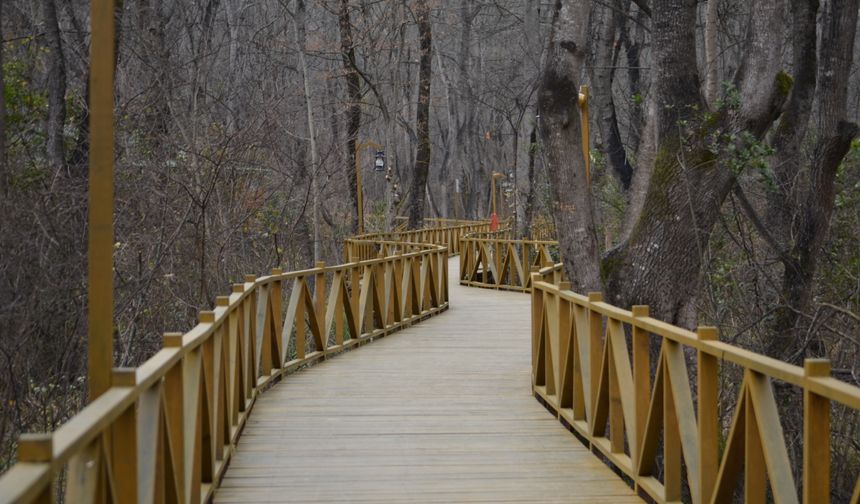 Samsun’da Doğa Yürüyüşü Yapılacak En İyi Parkurlar