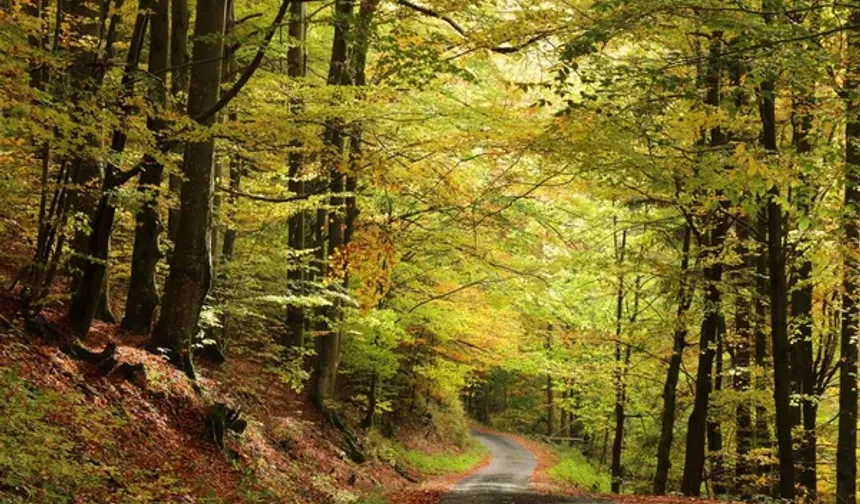 Samsun’da En Sevilen Yürüyüş Yolları
