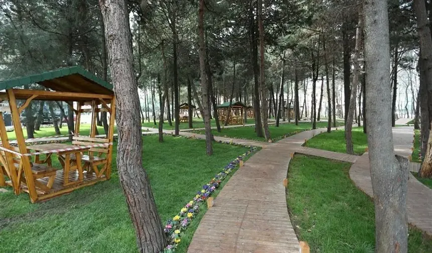 Samsun’da Hafta Sonu Piknik Yapılacak En Güzel Alanlar