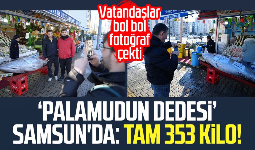 Palamudun dedesi Samsun'da: Tam 353 kilo!