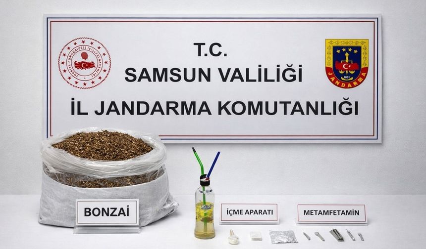 Samsun'da 12 kilo bonzai ele geçirildi