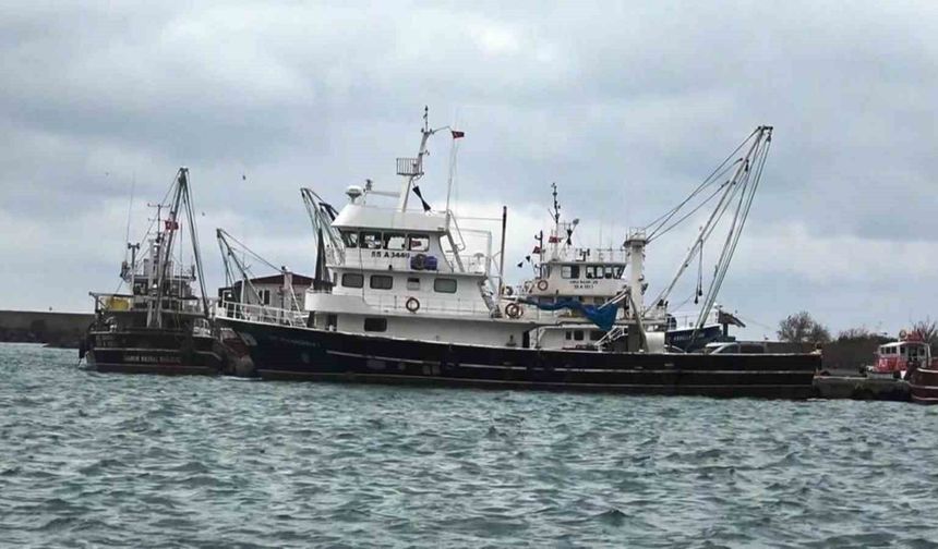 Samsun'dan 20 bin ton su ve hayvansal ürün ihracatı