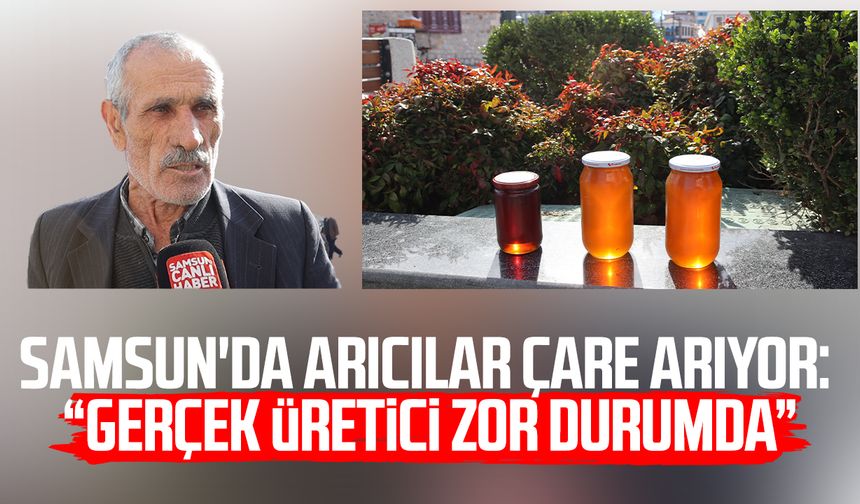 Samsun'da arıcılar çare arıyor: "Gerçek üretici zor durumda"