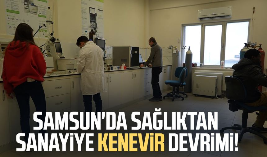 Kenevirden kauçuk, krem ve biyomalzeme