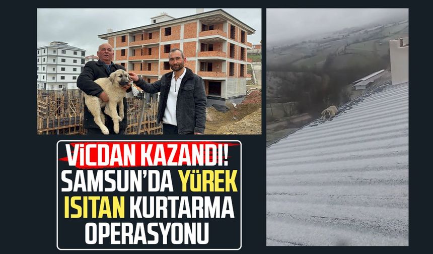Baba oğul, çatıda ölümün eşiğindeki yavru köpeği kurtardı