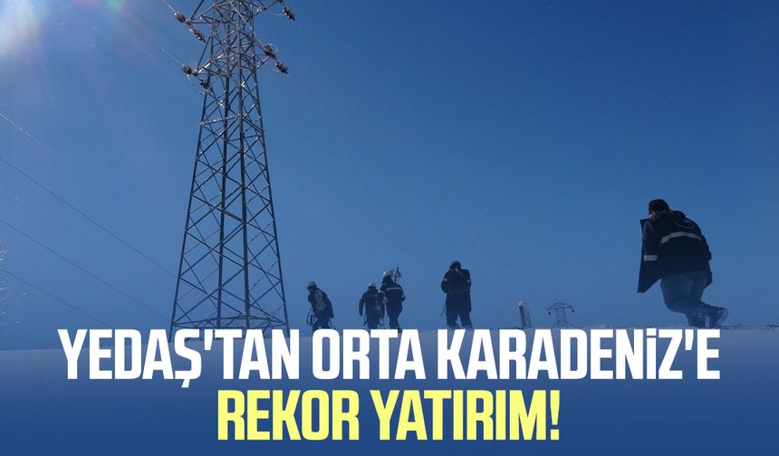 Elektrik dağıtım şirketinden Orta Karadeniz'e 62 milyar TL'lik yatırım