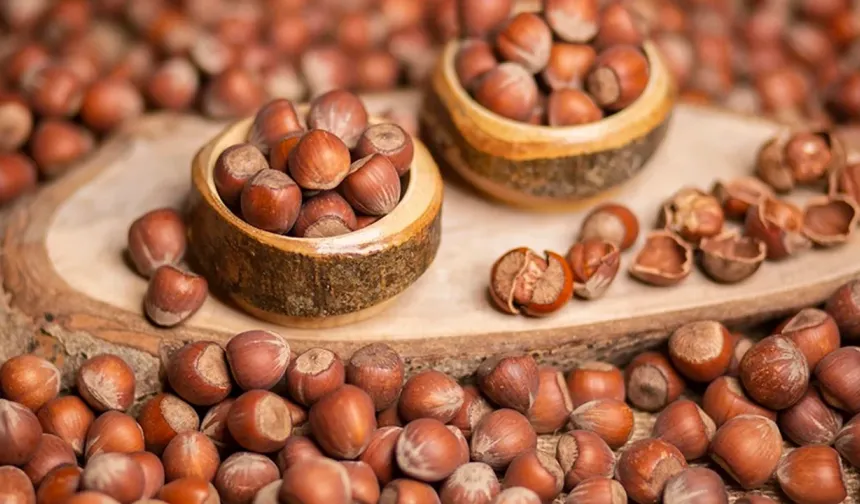 Salıpazarı’nda Fındık ve Tatlı Çeşitleri