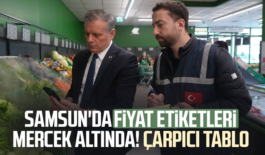 Samsun'da 200 bin ürün denetlendi, 420 ürüne işlem yapıldı