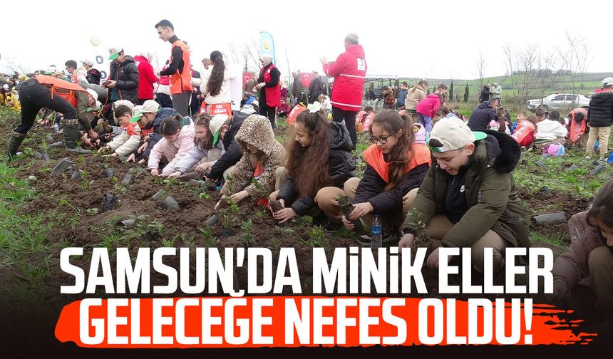 Bafra'da minik eller 3 bin fidanı toprakla buluşturdu