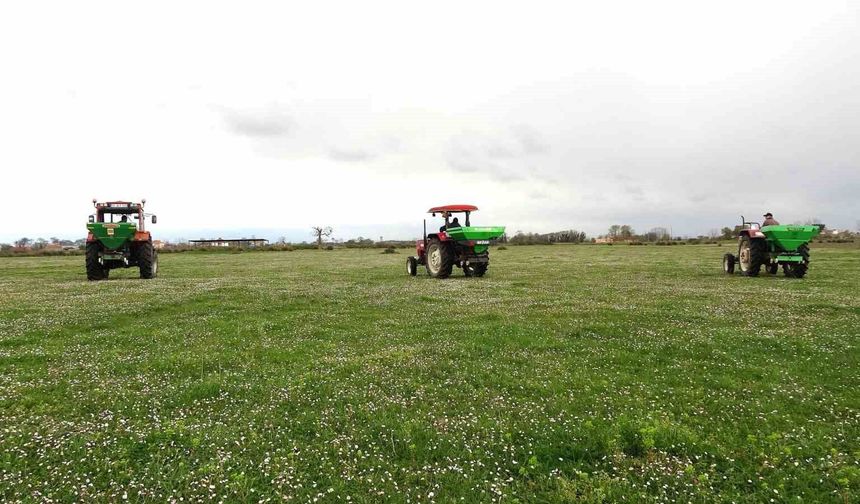 Samsun'da meralarda ıslah çalışmaları sürüyor