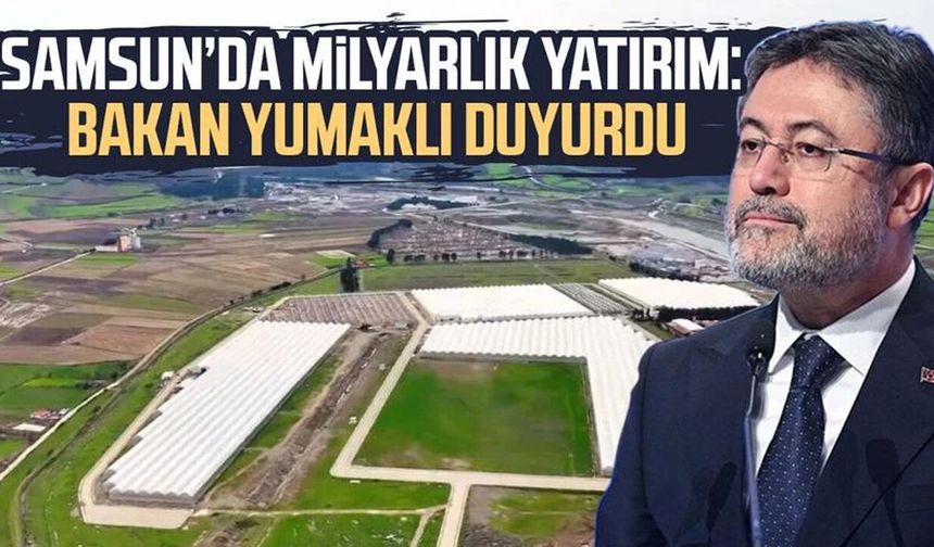 Modern tarımın yeni adresi Bafra: Karadeniz'de başarı hikayesi yazılıyor