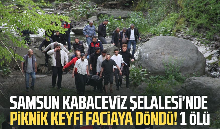 Kabaceviz Şelalesi'nde piknik yapan kardeşlerin üzerine kaya düştü: 1 ölü