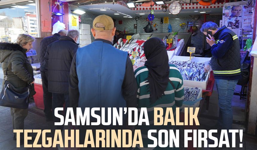 Sezonun sonuna gelinirken istavritin kilosu 70 TL'ye düştü