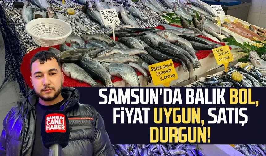 Samsun'da balık bol, fiyat uygun, satış durgun!