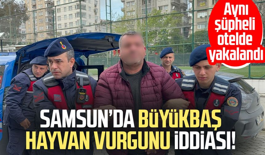 Hayvan ticaretinde dolandırıcılık: Şüpheli otelde yakalandı