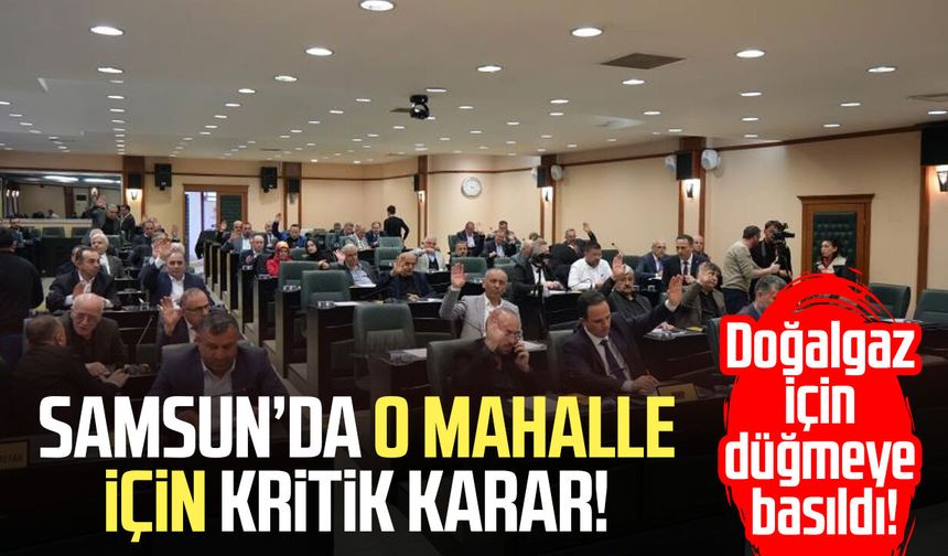 Samsun'da Balaç'ı doğalgaza kavuşturacak imar planı değişikliği meclisten geçti