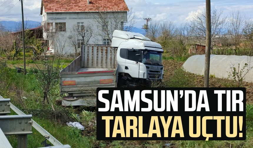 Samsun'da tır tarlaya uçtu: 1 yaralı