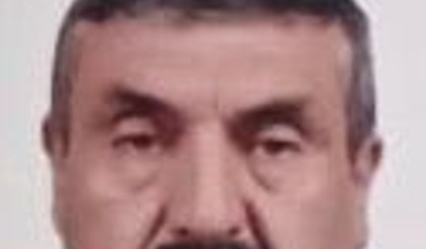 Devrilen ağacın altında kalan yaşlı adam hayatını kaybetti