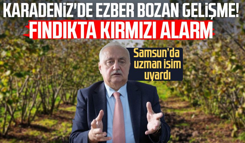 Samsun'da fındıkta kırmızı alarm