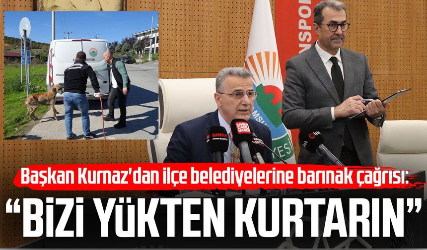 Başkan Kurnaz: 'Tüm ilçeler hayvan barınaklarını tamamlarsa bu yükten kurtulmuş olacağız'