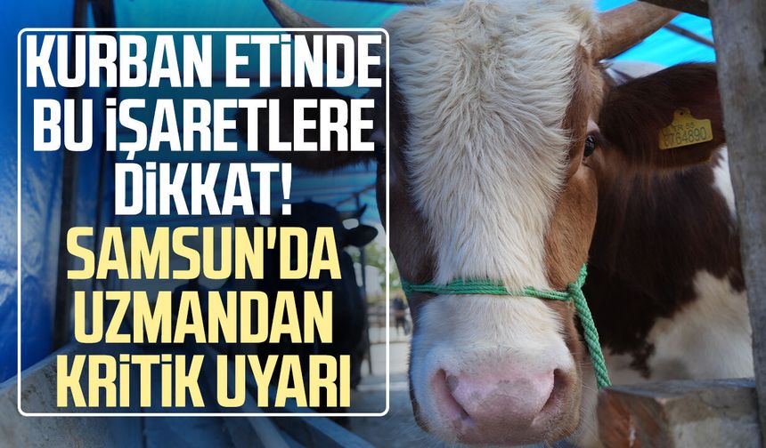 Kurban etindeki 'koyu kan' ve 'kötü koku' hastalık habercisi olabilir