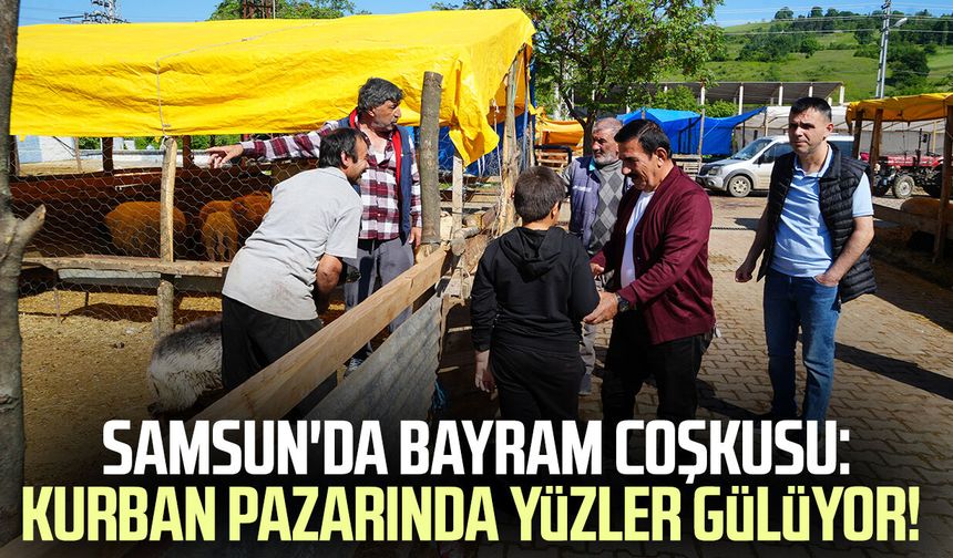 Besicilerin kurbanda da mesaisi sürüyor