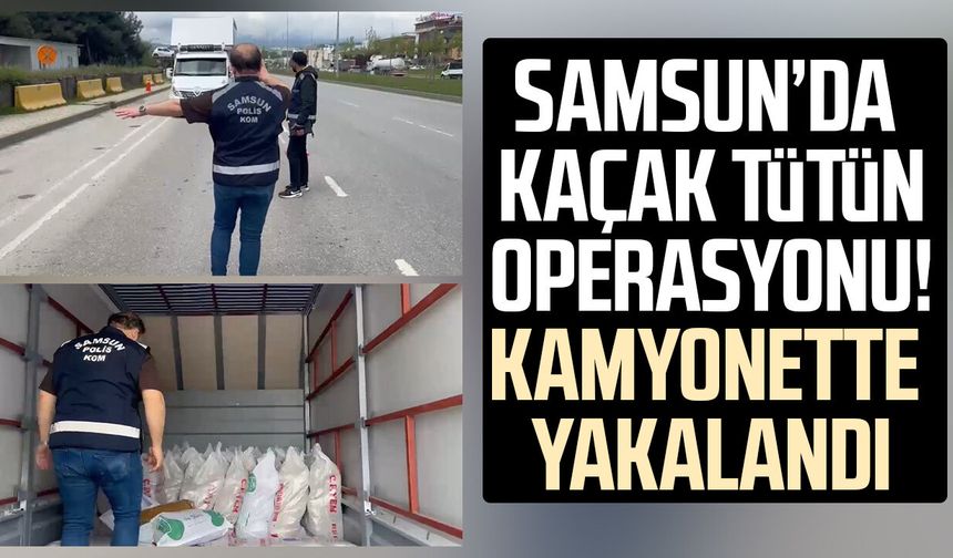 Samsun'da 770 kilo kaçak tütün ele geçirildi