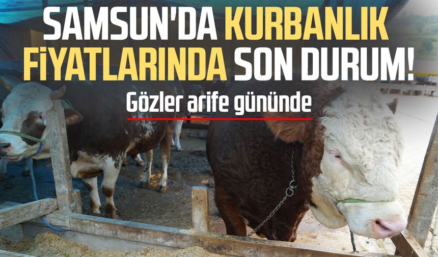 Samsun'da besiciler bayram satışlarından umutlu