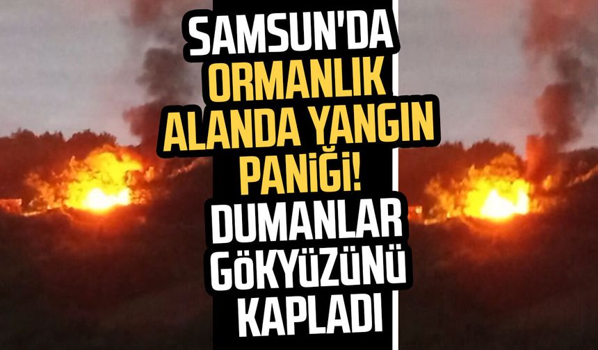 Samsun'da ormanlık alanda araç yangını! Dumanlar gökyüzünü kapladı