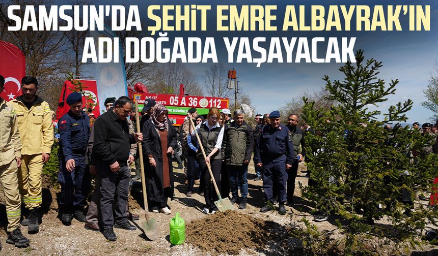 İstanbul'da uyuşturucu operasyonunda şehit olan Emre Albayrak'ın adı hatıra ormanında yaşayacak