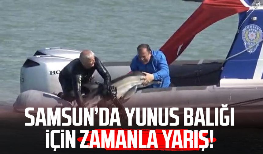 Dereye giren yunusu deniz polisi kurtardı