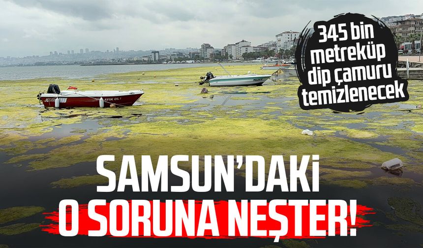 Kurupelit Marina'daki 'deniz marulu' sorununa neşter: 345 bin metreküp dip çamuru temizlenecek