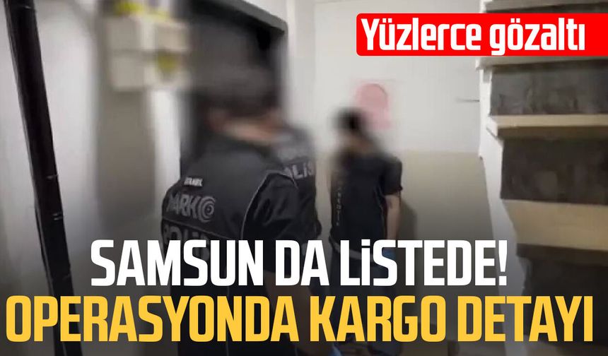 Meyvelerin en büyük düşmanına Samsun'da savaş açıldı